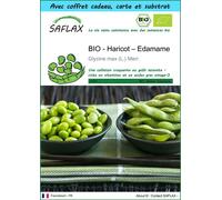 SAFLAX Ensemble-cadeau - BIO - Haricot – Edamame - 8 graines - Glycine