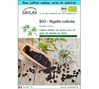 SAFLAX Ensemble-cadeau - BIO - Nigelle cultivée - 300 graines - Nigella