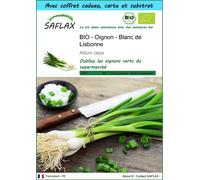 SAFLAX Ensemble-cadeau - BIO - Oignon - Blanc de Lisbonne - 150 graines - Allium