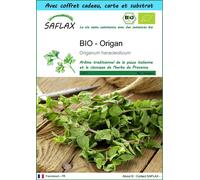 SAFLAX Ensemble-cadeau - BIO - Origan - 1500 graines - Origanum