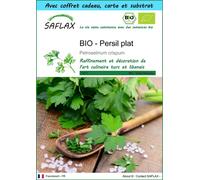 SAFLAX Ensemble-cadeau - BIO - Persil plat - 600 graines - Petroselinum