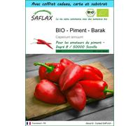 SAFLAX Ensemble-cadeau - BIO - Piment - Barak - 15 graines - Capsicum