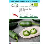 SAFLAX Ensemble-cadeau - BIO - Piment - Early jalapeno - 20 graines - Capsicum