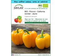SAFLAX Ensemble-cadeau - BIO - Poivron - California wonder - Jaune - 20 graines - Capsicum