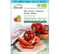 SAFLAX Ensemble-cadeau - BIO - Poivron - California wonder - Rouge - 20 graines - Capsicum