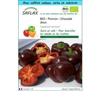 SAFLAX Ensemble-cadeau - BIO - Poivron - Chocolat doux - 10 graines - Capsicum
