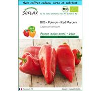 SAFLAX Ensemble-cadeau - BIO - Poivron - Red Marconi - 20 graines - Capsicum