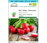 SAFLAX Ensemble-cadeau - BIO - Radis - Cherry bell - 100 graines - Raphanus