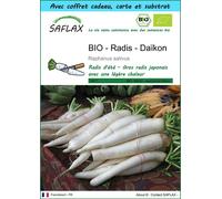 SAFLAX Ensemble-cadeau - BIO - Radis - Daïkon - 100 graines - Raphanus