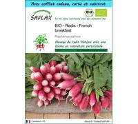 SAFLAX Ensemble-cadeau - BIO - Radis - French breakfast - 150 graines - Raphanus