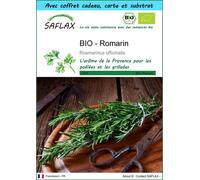 SAFLAX Ensemble-cadeau - BIO - Romarin - 40 graines - Rosmarinus