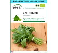 SAFLAX Ensemble-cadeau - BIO - Roquette - 3000 graines - Eruca
