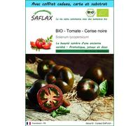 SAFLAX Ensemble-cadeau - BIO - Tomate - Cerise noire - 10 graines - Solanum