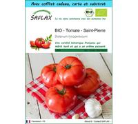 SAFLAX Ensemble-cadeau - BIO - Tomate - Saint-Pierre - 15 graines - Solanum