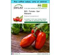 SAFLAX Ensemble-cadeau - BIO - Tomate - San Marzano - 15 graines - Solanum