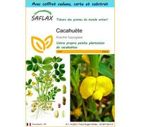 SAFLAX Ensemble-cadeau - Cacahuète - 8 graines - Arachis