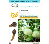 SAFLAX Ensemble-cadeau - Calebasse - 15 graines - Lagenaria
