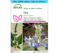 SAFLAX Ensemble-cadeau - Chia - 500 graines - Salvia