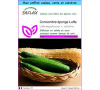 SAFLAX Ensemble-cadeau - Concombre éponge Luffa - 10 graines - Luffa