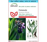 SAFLAX Ensemble-cadeau - Consoude - 15 graines - Symphytum