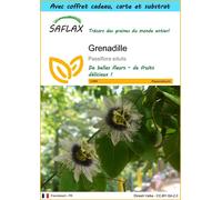 SAFLAX Ensemble-cadeau - Grenadille - 40 graines - Passiflora