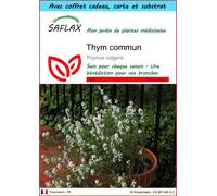 SAFLAX Ensemble-cadeau - Thym commun - 200 graines - Thymus