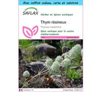 SAFLAX Ensemble-cadeau - Thym résineux - 250 graines - Thymus
