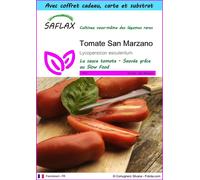 SAFLAX Ensemble-cadeau - Tomate San Marzano - 10 graines - Lycopersicon