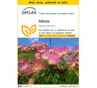 SAFLAX Ensemble de culture - Albizia - 50 graines - Albizia