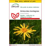 SAFLAX Ensemble de culture - Arnica des montagnes - 40 graines - Arnica