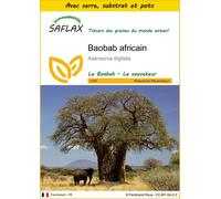 SAFLAX Ensemble de culture - Baobab africain - 6 graines - Adansonia