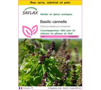 SAFLAX Ensemble de culture - Basilic cannelle - 200 graines - Ocimum