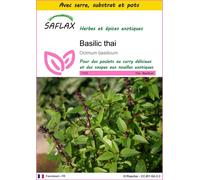 SAFLAX Ensemble de culture - Basilic thai - 200 graines - Ocimum