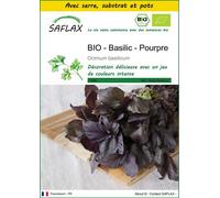 SAFLAX Ensemble de culture - BIO - Basilic - Pourpre - 400 graines - Ocimum