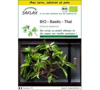 SAFLAX Ensemble de culture - BIO - Basilic - Thaï - 250 graines - Ocimum