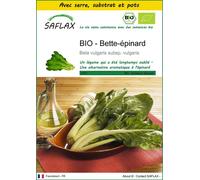 SAFLAX Ensemble de culture - BIO - Bette-épinard - 150 graines - Beta