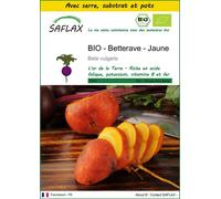 SAFLAX Ensemble de culture - BIO - Betterave - Jaune - 50 graines - Beta