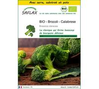 SAFLAX Ensemble de culture - BIO - Brocoli - Calabrese - 100 graines - Brassica