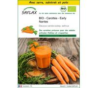 SAFLAX Ensemble de culture - BIO - Carottes - Early Nantes - 1500 graines - Daucus