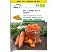 SAFLAX Ensemble de culture - BIO - Carottes - Roi de l'automne - 1000 graines - Daucus