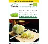 SAFLAX Ensemble de culture - BIO - Chou chinois - Granat - 40 graines - Brassica