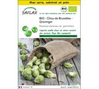 SAFLAX Ensemble de culture - BIO - Chou de Bruxelles - Groninger - 30 graines - Brassica