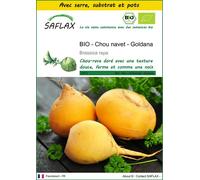 SAFLAX Ensemble de culture - BIO - Chou navet - Goldana - 500 graines - Brassica