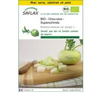 SAFLAX Ensemble de culture - BIO - Chou-rave - Superschmelz - 20 graines - Brassica
