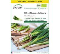 SAFLAX Ensemble de culture - BIO - Ciboule - Ishikura - 150 graines - Allium