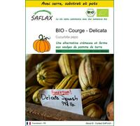 SAFLAX Ensemble de culture - BIO - Courge - Delicata - 6 graines - Cucurbita