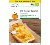 SAFLAX Ensemble de culture - BIO - Courge - Spaghetti - 5 graines - Cucurbita
