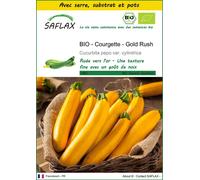 SAFLAX Ensemble de culture - BIO - Courgette - Gold Rush - 5 graines - Cucurbita