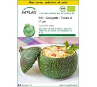 SAFLAX Ensemble de culture - BIO - Courgette - Tondo di Nizza - 5 graines - Cucurbita