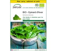 SAFLAX Ensemble de culture - BIO - Epinard d'hiver - 250 graines - Spinacia